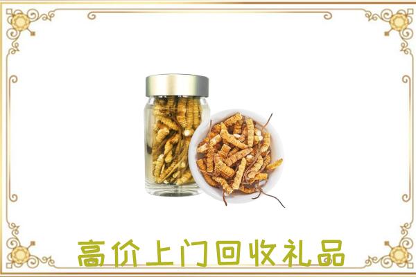 临沧周边回收虫草